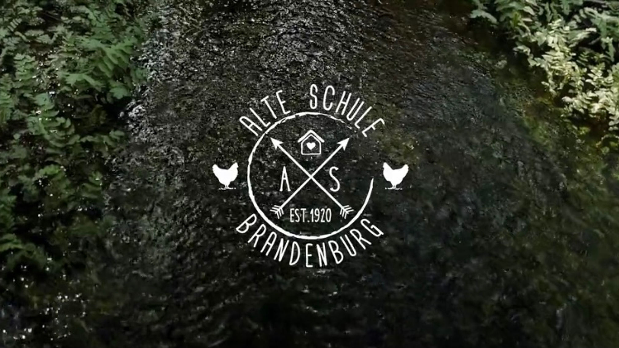 Alte Schule Brandenburg CLIP
